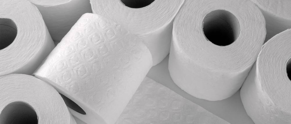 toilettenpapier 3 lagig test