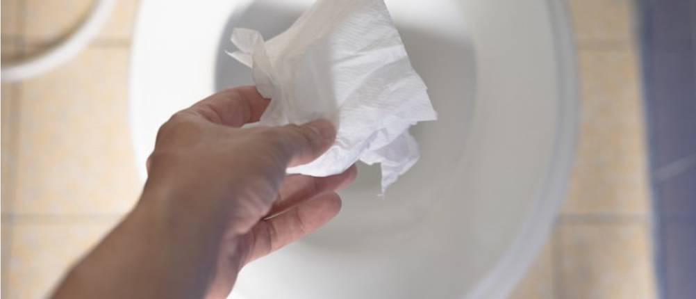 umweltbelastung feuchtes toilettenpapier verstopfung toilette