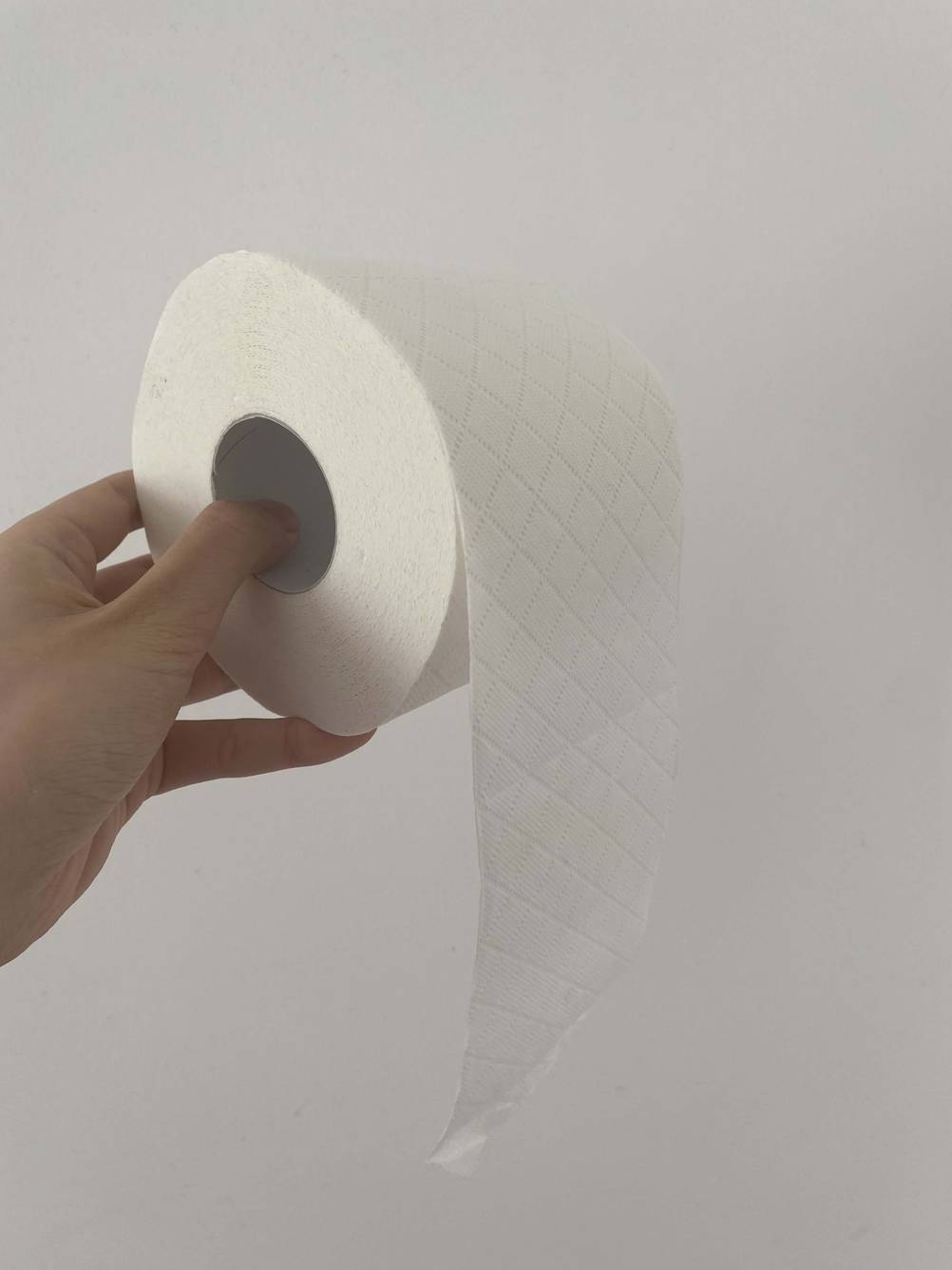 Rolle Toilettenpapier in Hand
