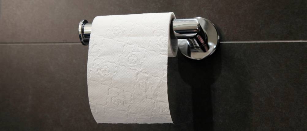 Toilettenpapierhalter-ohne-Bohren-Test: Ein Toilettenpapierhalter aus Edelstahl ist zum Kleben geeignet.