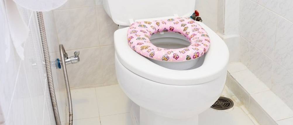 Toilettensitz für Kinder im Test: Ein rosa Aufsatz auf der Toilette