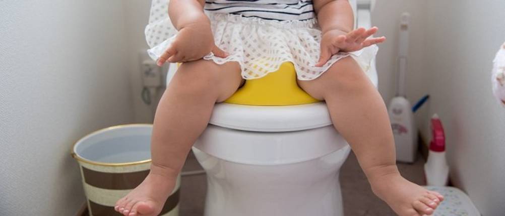 Kinder-Toilettensitz im Test