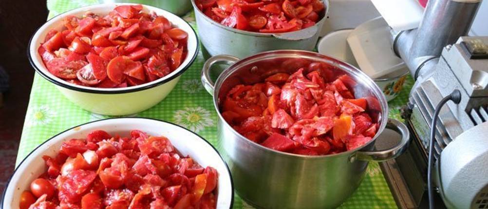 Tomatenpresse Test