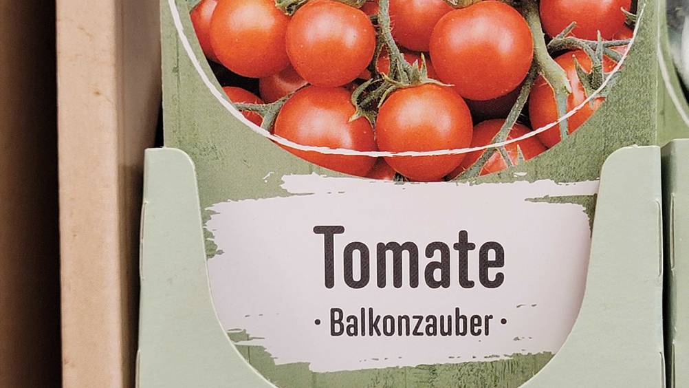 Tomatensamen im Test: Nahaufnahme der Verpackung mit Artikelbezeichnung.