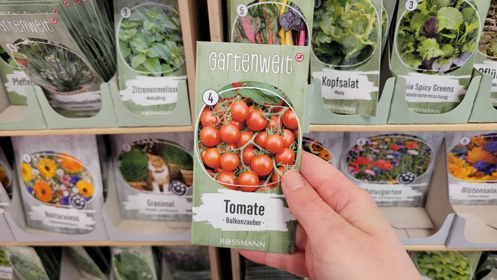 Eine Hand hält die Tomatensamen im Test vor ein Regal.