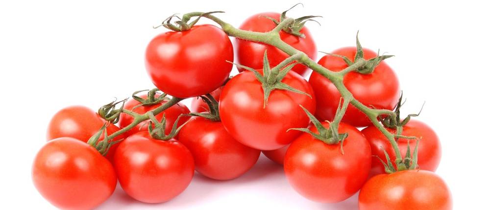 Tomatenstrunkentferner-Test