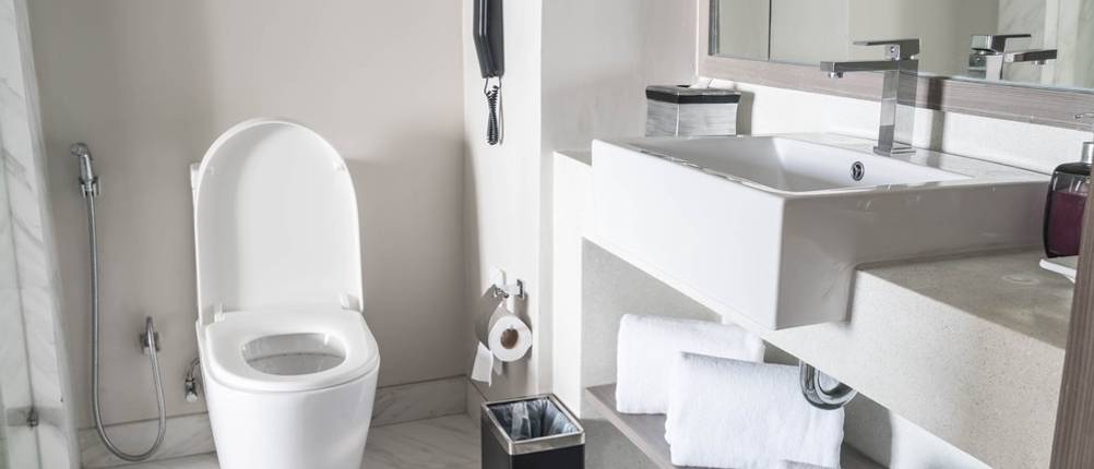WC-Sitz mit Absenkautomatik kaufen