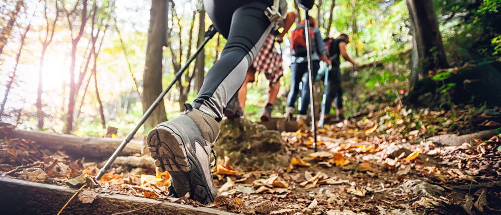 Trekkingschuhe Unisex getestet: eine Gruppe befindet sich in einem Wald auf einer Trekkingtour.