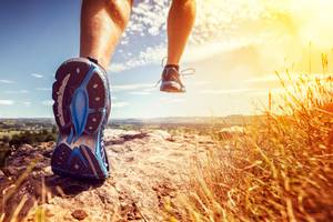 Trailrunningschuhe Test