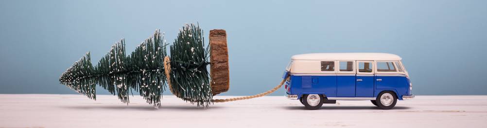 Kleiner Weihnachtsbaum