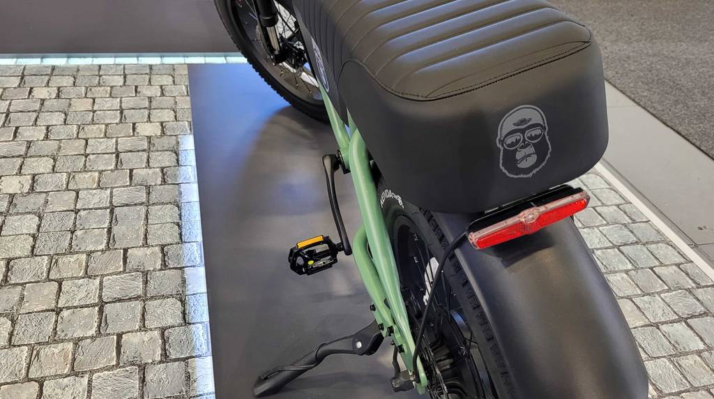 Sattel und Rücksitz von einem getesteten Trekking-E-Bike. 
