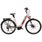Trek E Bike: Waverahmen
