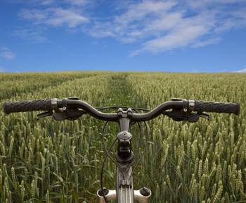 Fahrradlenker Test & Vergleich Top 10