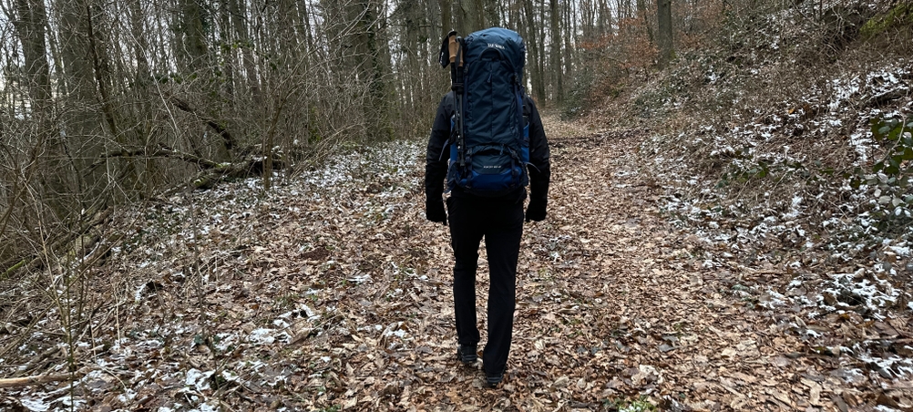 Eine Person wandert auf einem Laubweg im Wald und trägt den Tatonka Yukon 60+10. Der Rucksack ist voll bepackt und von hinten zu sehen.