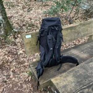 Rückansicht des Vaude Asymmetric 42+8 mit gut sichtbarem Tergolight-Tragesystem. Der Rucksack steht auf einer Bank im Wald.