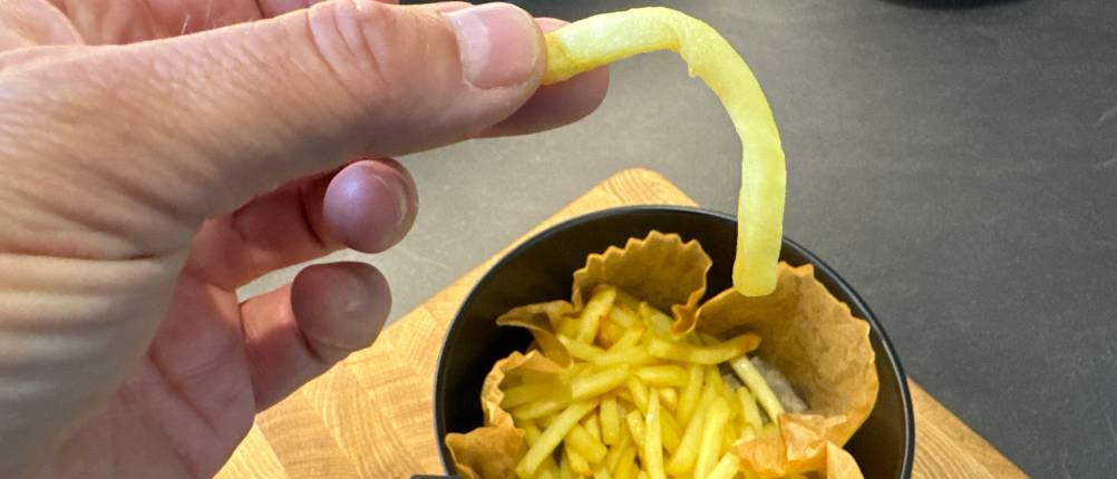 Eine Hand hält eine fertige Pommes aus der Tristar FR-6980.