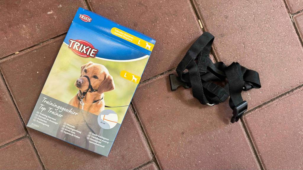 Ein getestetes Erziehungshalsband liegt neben der Originalverpackung auf einem Boden.