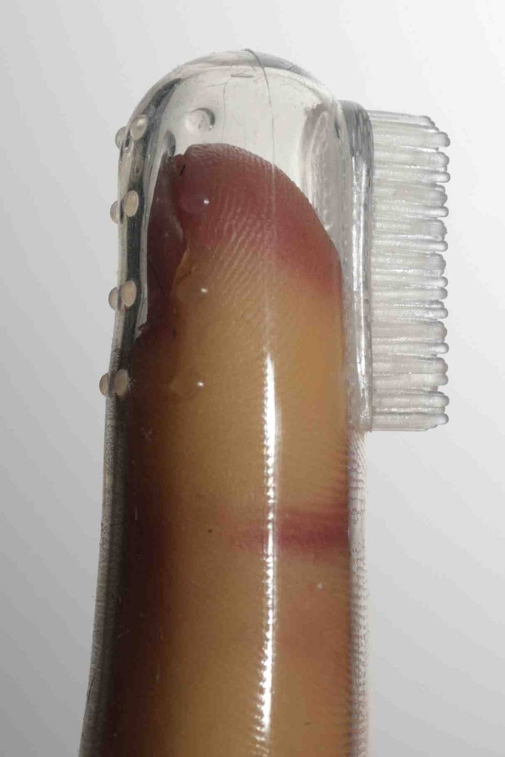 Nahansicht einer Hundezahnbürste, die zum Testen auf einem Finger ist.