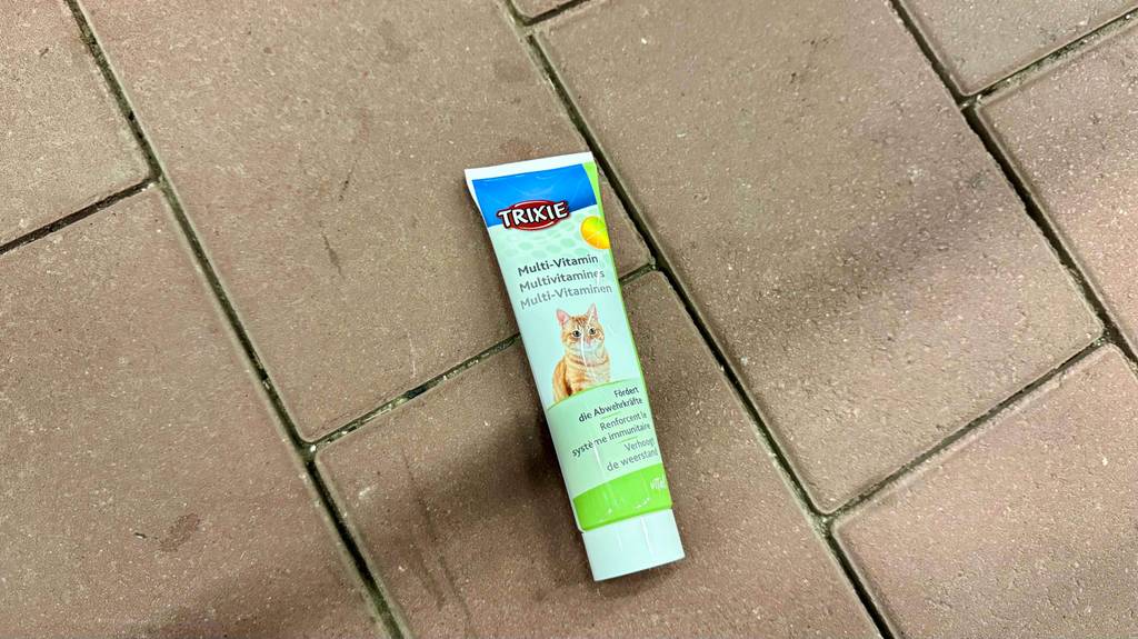 Eine Tube getestete Vitamine für Katzen liegt auf einem Steinboden.