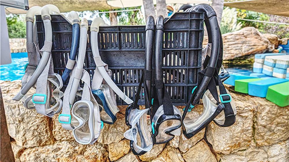 Trockenschnorchel im Test: Zahlreiche Schnorchel und Taucherbrillen, die zum Trocknen aufgehangen wurden.