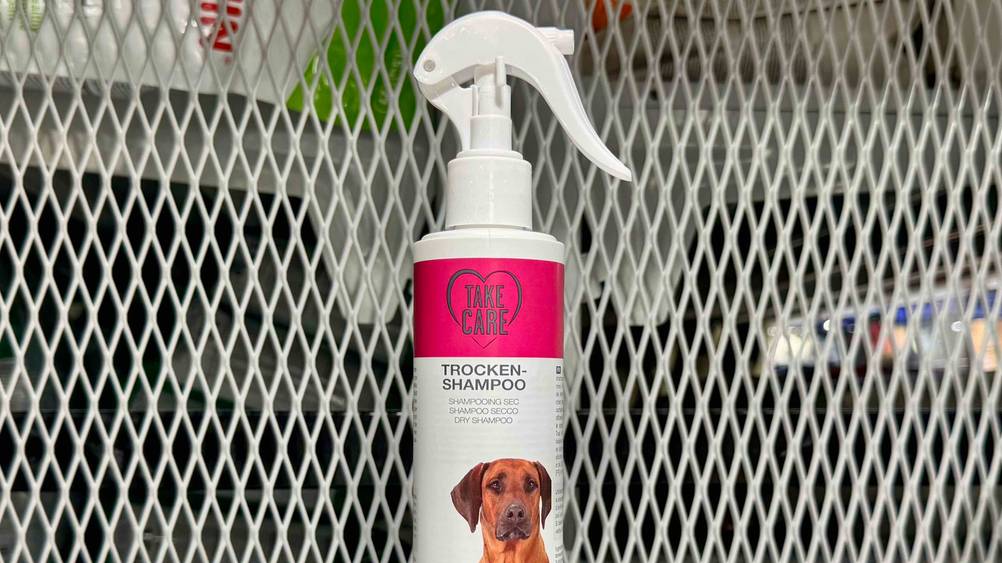 Trockenshampoo Hund im Test: Nahaufnahme des Logos und der Artikelbezeichnung.