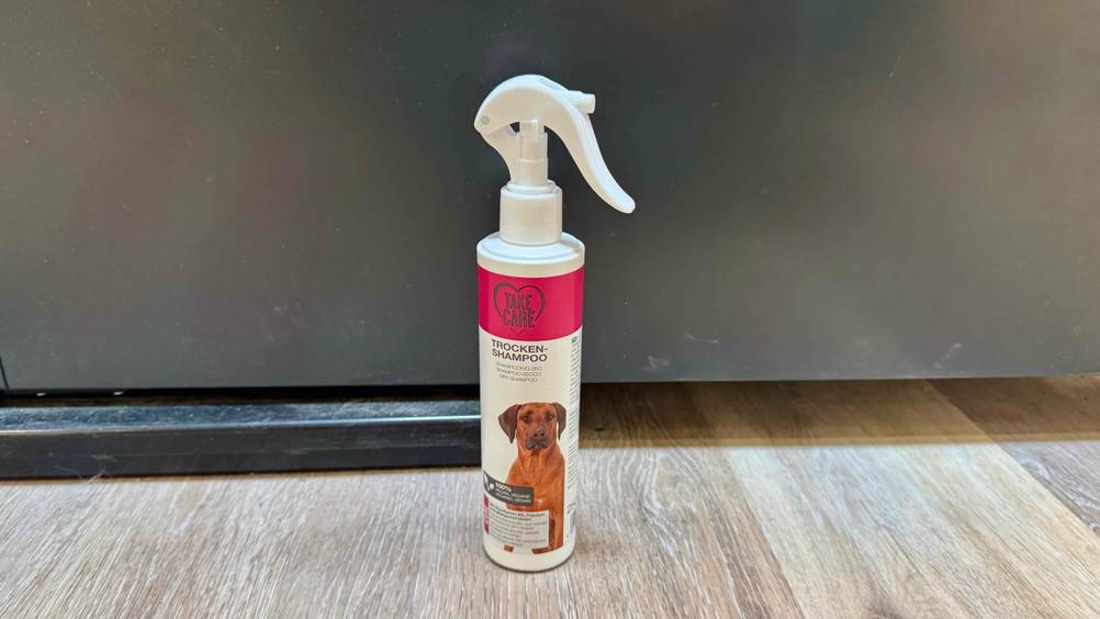 Auf dem Boden vor einer Wand steht das getestete Trockenshampoo Hund.