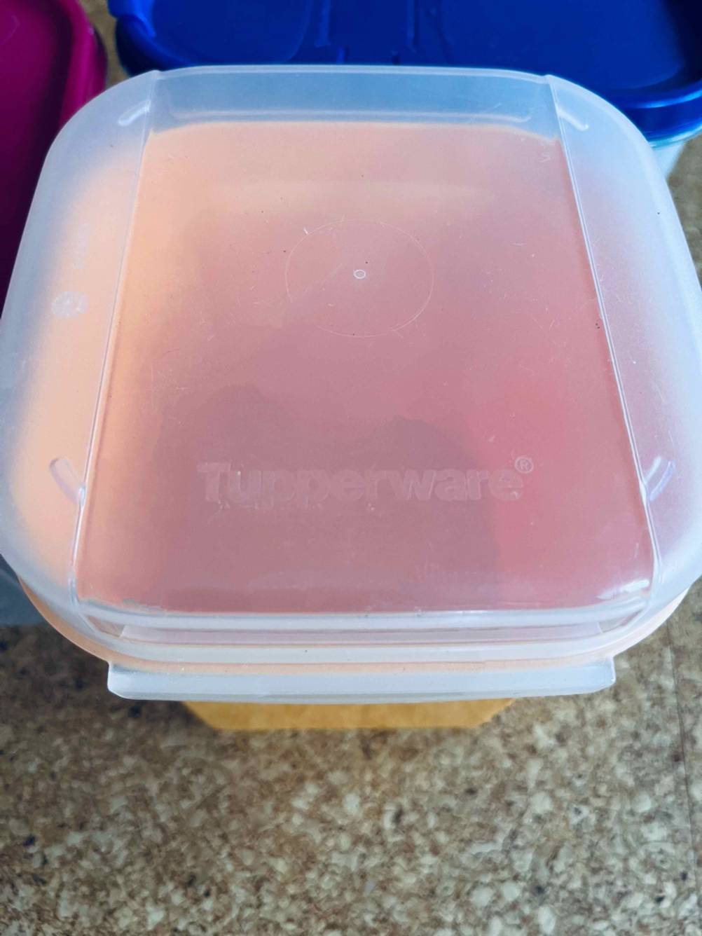 Nahaufnahme eines transparenten Deckels von eines getesteten Tupperware-Behälters.