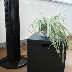 Turmventilator weht Blätter einer Büropflanze zur Seite, die auf einem kleinen Sockel steht.