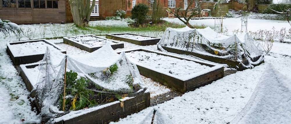 Überwinterungszelt im Test. Ein Garten mit verschiedenen Beeten. Über den Pflanzen sind Holzgestänge mit Folien aufgebaut.