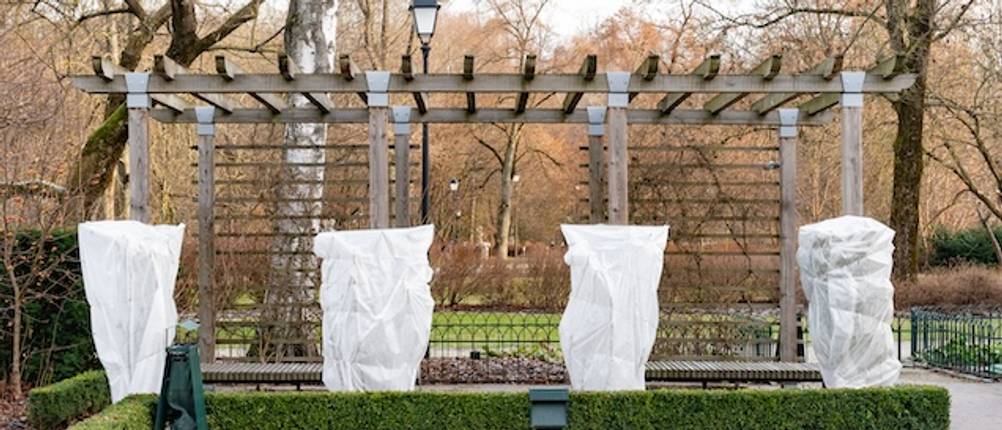 Überwinterungszelt im Test: In einem Park sind Bäume in Kunststofffolie gewickelt.