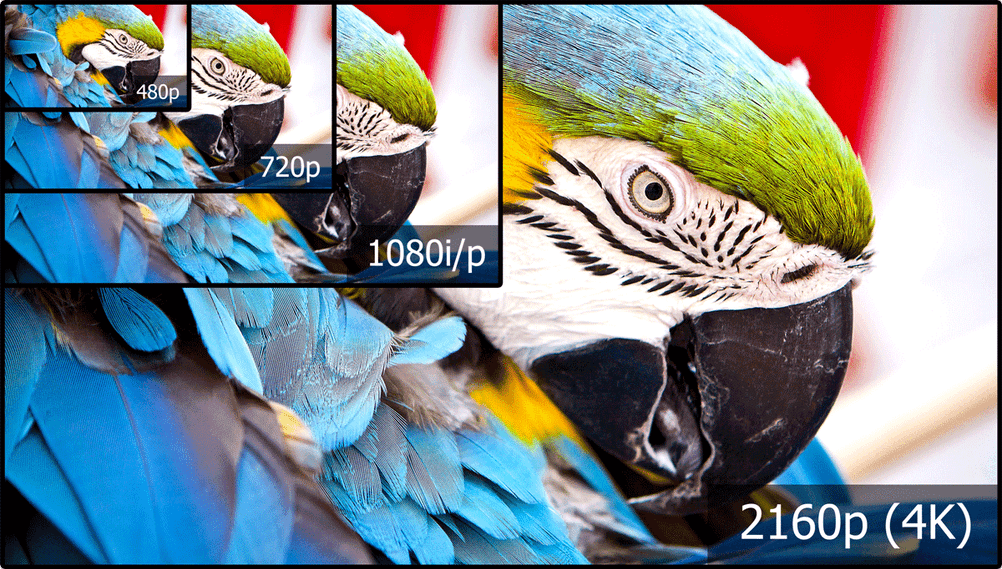 uhd-monitor