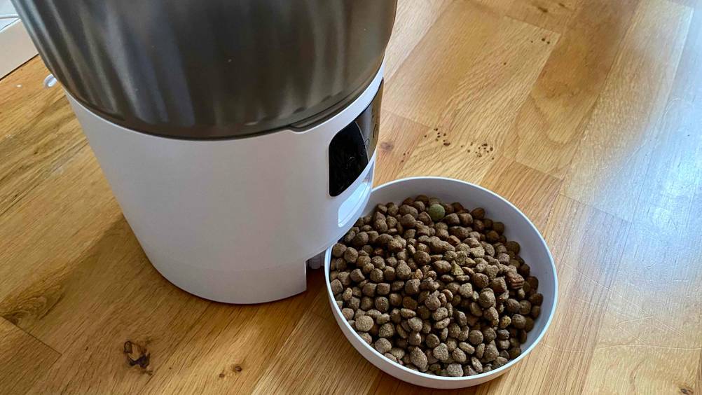 Futterautomat für Katzen im Test: Ein mit Trockenfutter gefüllter Napf steht vor einem Gerät.