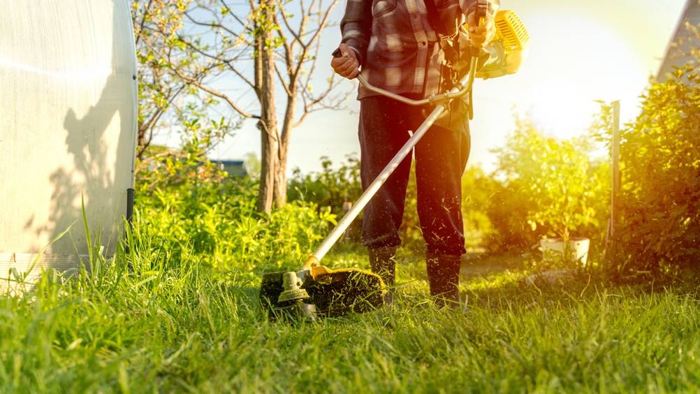 Eine Motorsense im EInsatz im Garten.