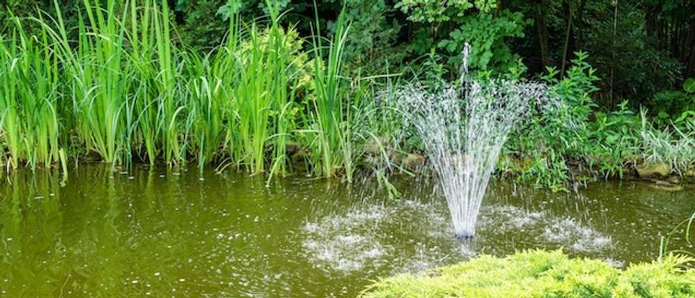 Unterwasserfilter-Test: Ein Teich im Grünen mit einem Wasserspiel.