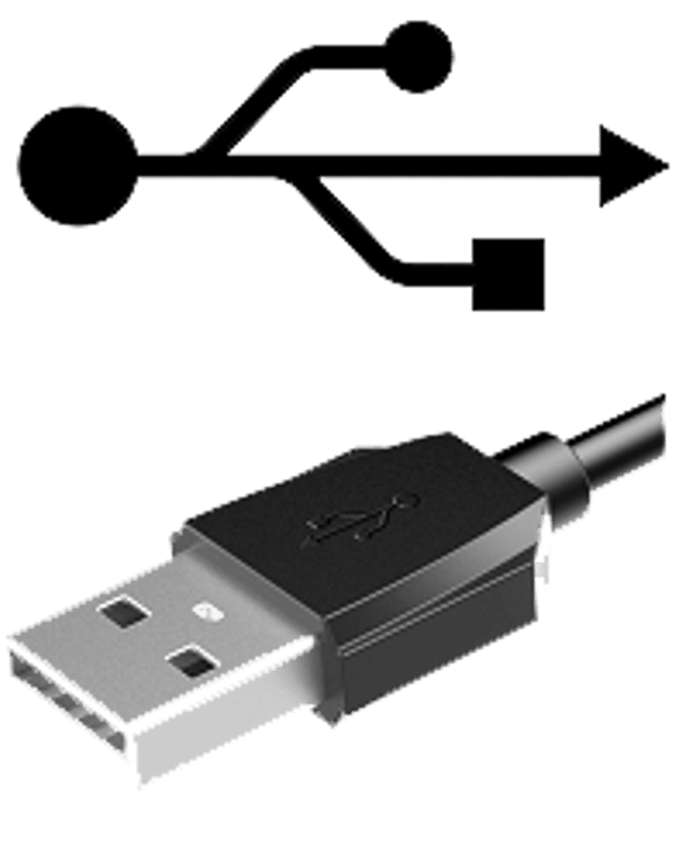 USB-Logo und -Stecker, Beispielbild