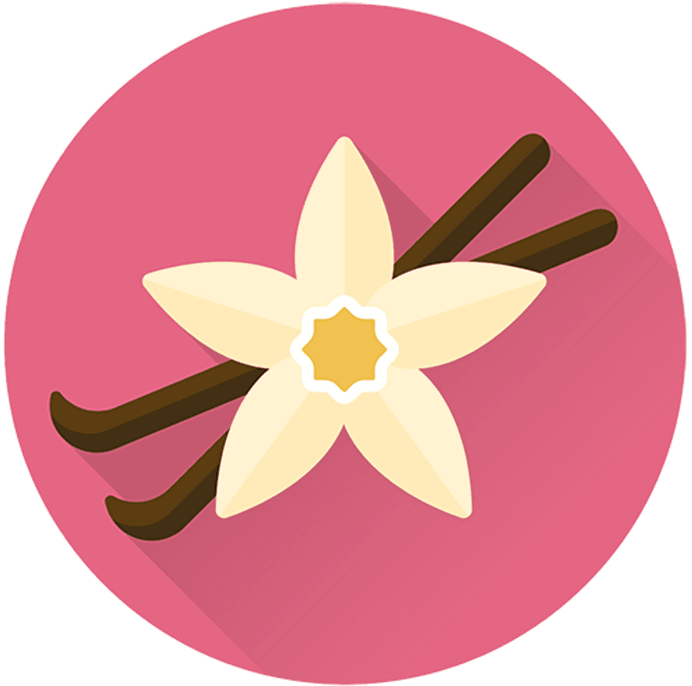 vanilla-icon