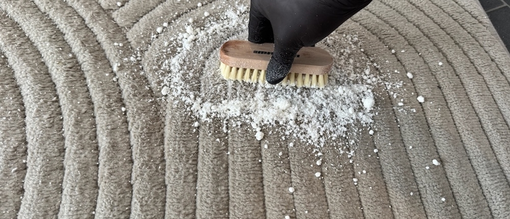 Vanish-Teppichreiniger wird mit einer Bürste per Hand eingerieben