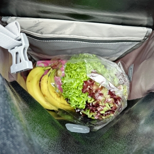Innenansicht der Vaude-Aqua-Back-Fahrradtasche mit frischem Obst und Gemüse nach dem Einkauf. Sichtbar sind Bananen, Salat und ein Reißverschlussfach.