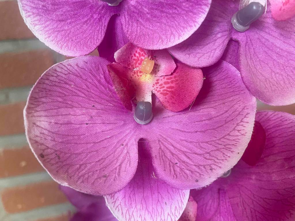 Im Test: Kunstblumen in Rosa.