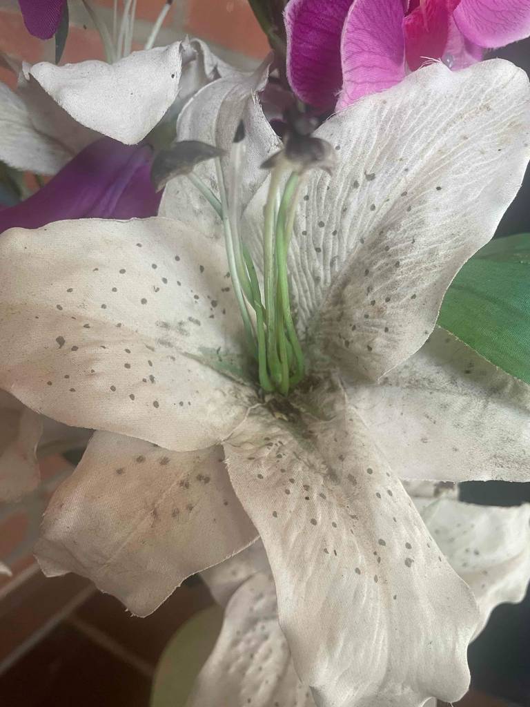 Nahaufnahme einer getesteten Kunstblume in Weiß.