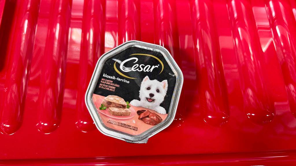 Im Test: Cesar-Hundefutter in der Schale liegt auf einem roten Untergrund.