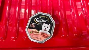 hunde trockenfutter pferd AniForte PurePferd Trockenfutter – Monoprotein für Hunde main image 0