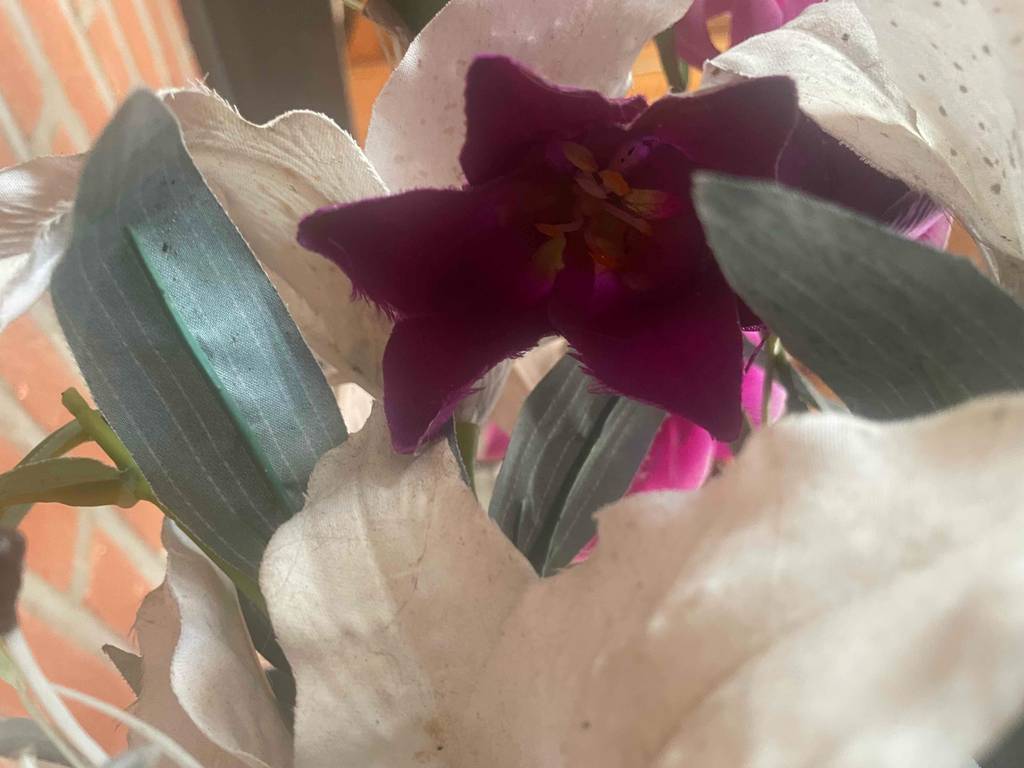 Detailansicht einer weißen sowie dunkelroten Kunstblume im Test.