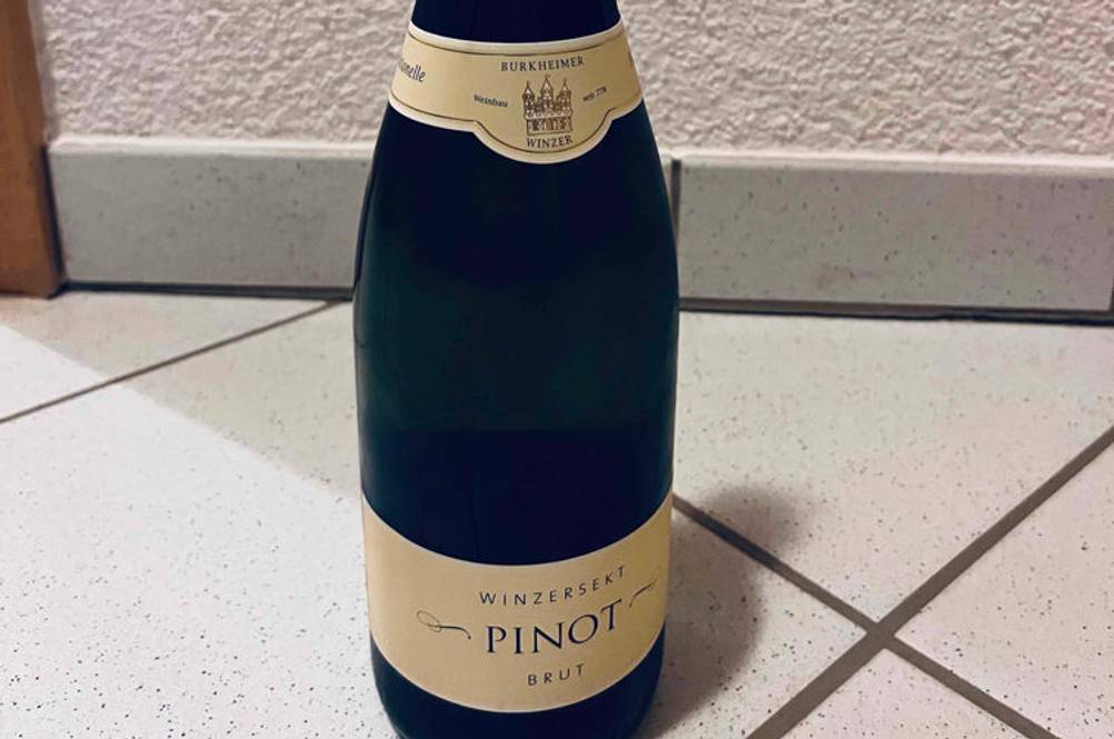 Winzersekt im Test: eine blickdichte Flasche mit Pinot Brut steht vor weißer Wand.