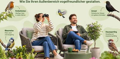 Eine Frau und ein Mann sitzen auf gartenstühlen. Die Frau hält ein Fernglas vor die Augen. Um sie herum stehen Pflanzen. In Wortwolken sind um die Personen herum verschiedene typische Gartenvögel mit ihren Namen abgebildet. Die Überschrift des Bildes lautet "Mehr Leben im Garten. Wie Sie Ihren Außenbereich vogelfreundlicher gestalten." Unten rechts in das Logo von Vergleich.org
