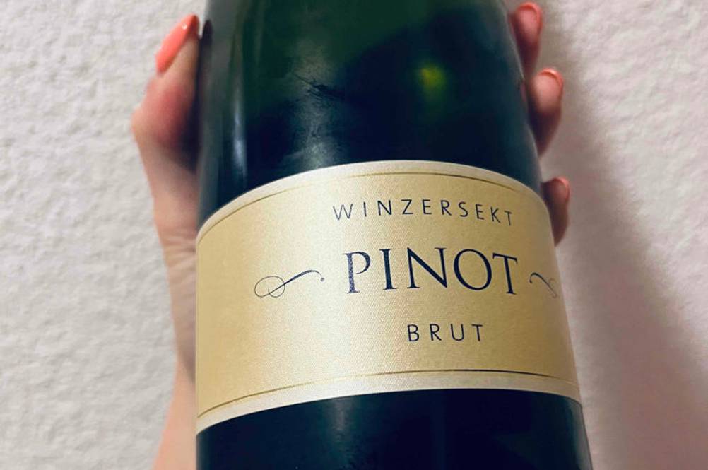 Hand hält eine blickdichte Flasche mit getestetem Winzersekt Pinot Brut vor heller Wand.