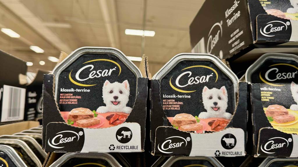 Feuchtes, getestetes Cesar-Hundefutter in der Schale befindet sich auf einem Regal im Supermarkt.