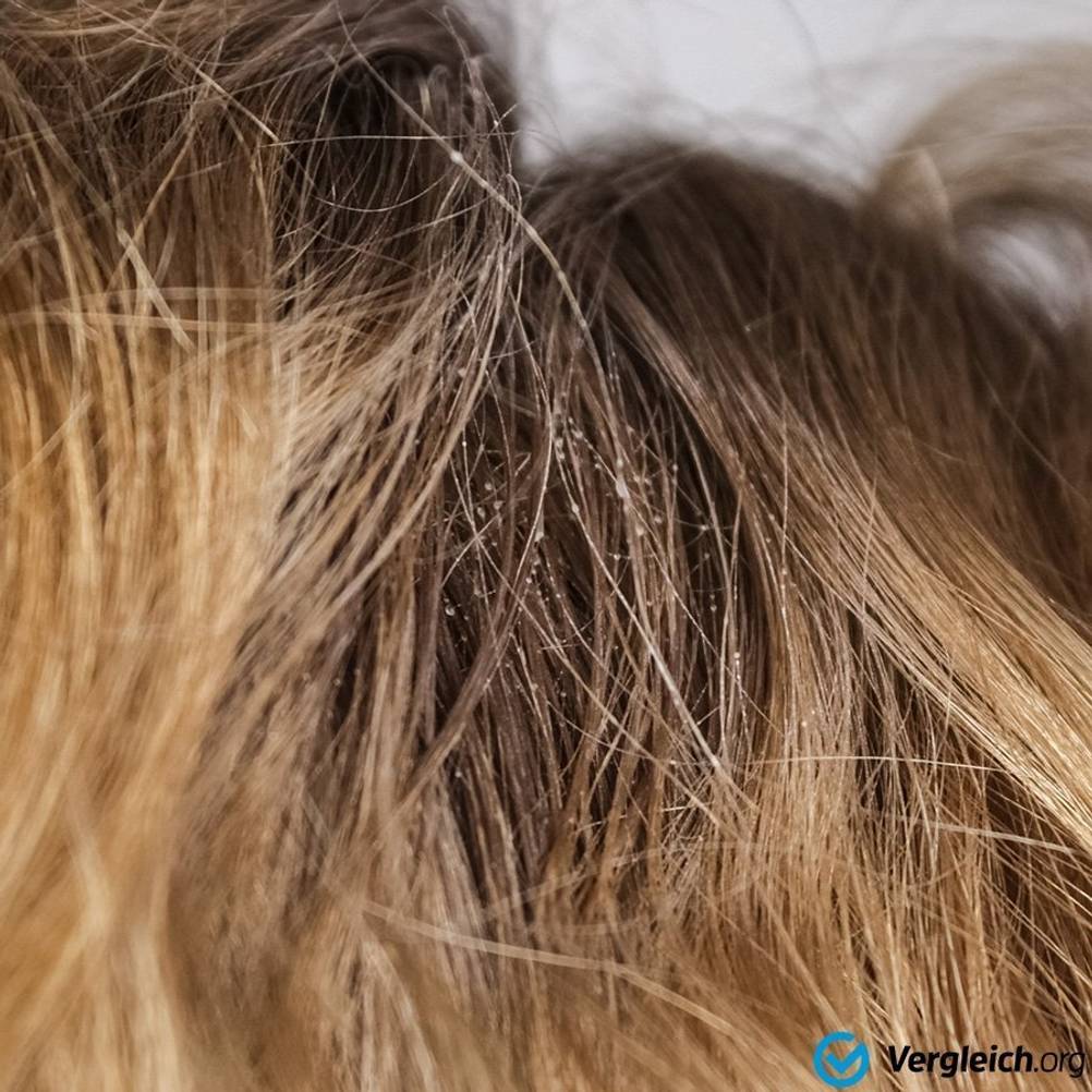 trockenshampoo verklebt haare