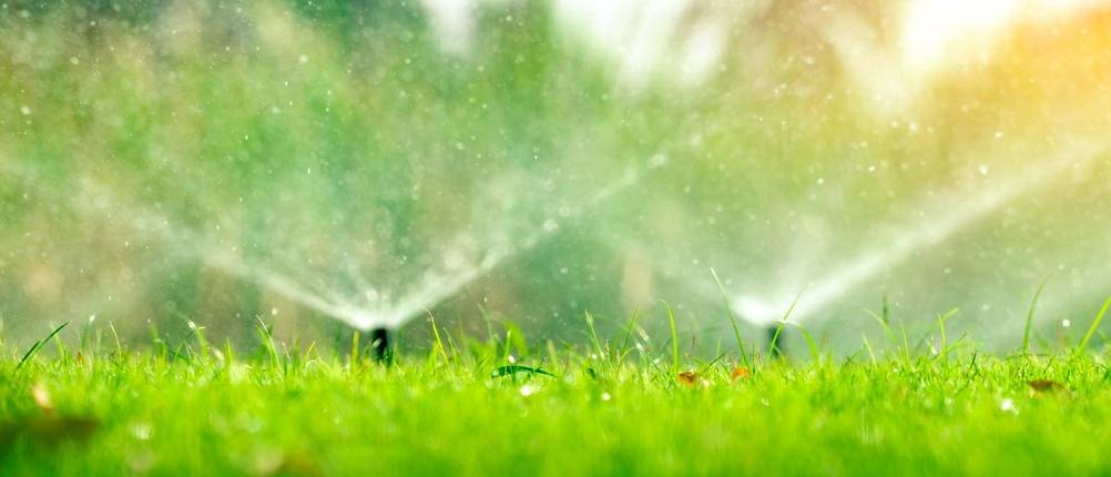 Versenkregner beim Rasenwässern