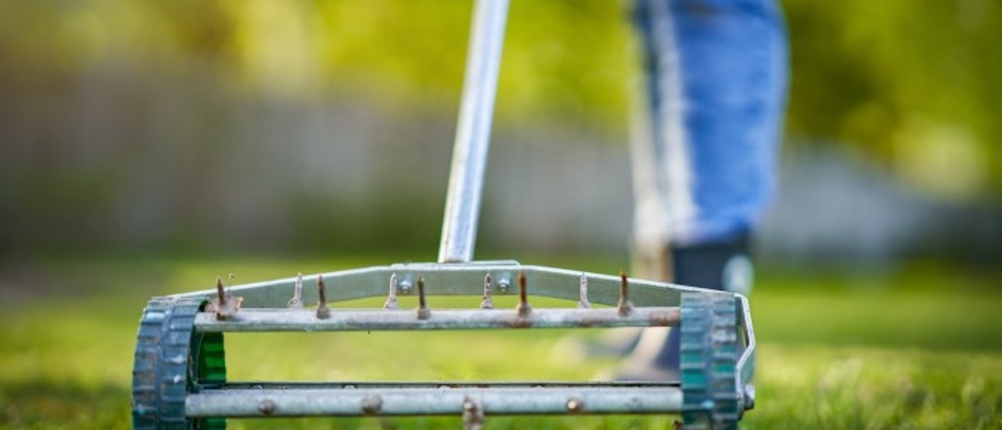 Handvertikutierer im Vordergrund, welcher von einer Person in blauer Hose über den Rasen gefahren wird.